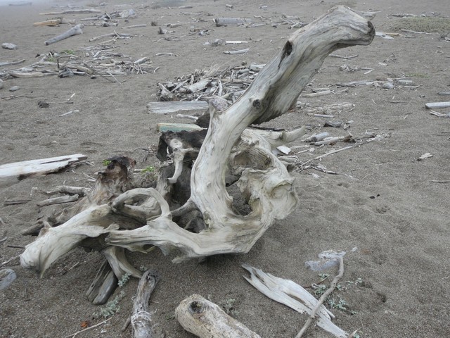 p1050432s.jpg